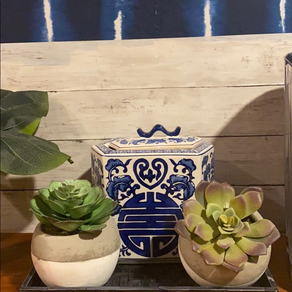 Pair of cement potted faux succulents